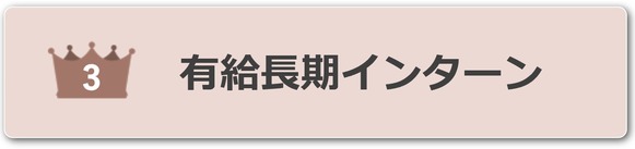 有給長期インターン