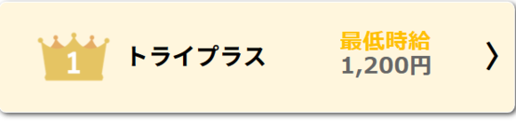 トライプラスバイト